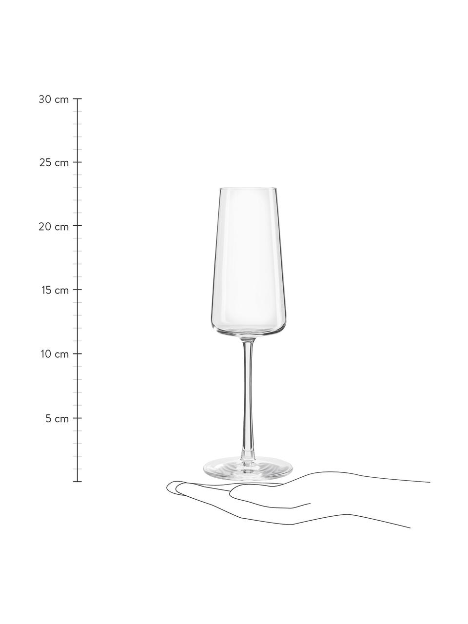 Krištáľové poháre na šampanské v tvare kužeľa Power, 6 ks, Krištáľové sklo, Priehľadná, Ø 7 x V 23 cm, 240 ml