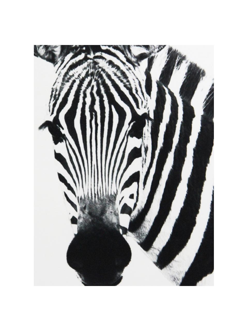 Federa arredo reversibile Zebra, 100% poliestere, Bianco, nero, Larg. 45 x Lung. 45 cm