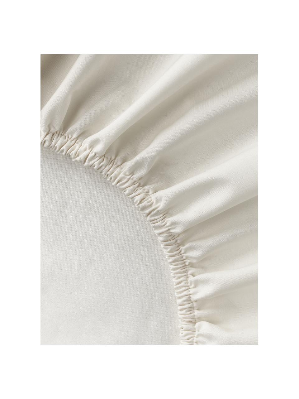 Drap-housse en percale de coton pour sommier tapissier Elsie, Gris clair, larg. 90 x long. 200 cm, haut. 35 cm