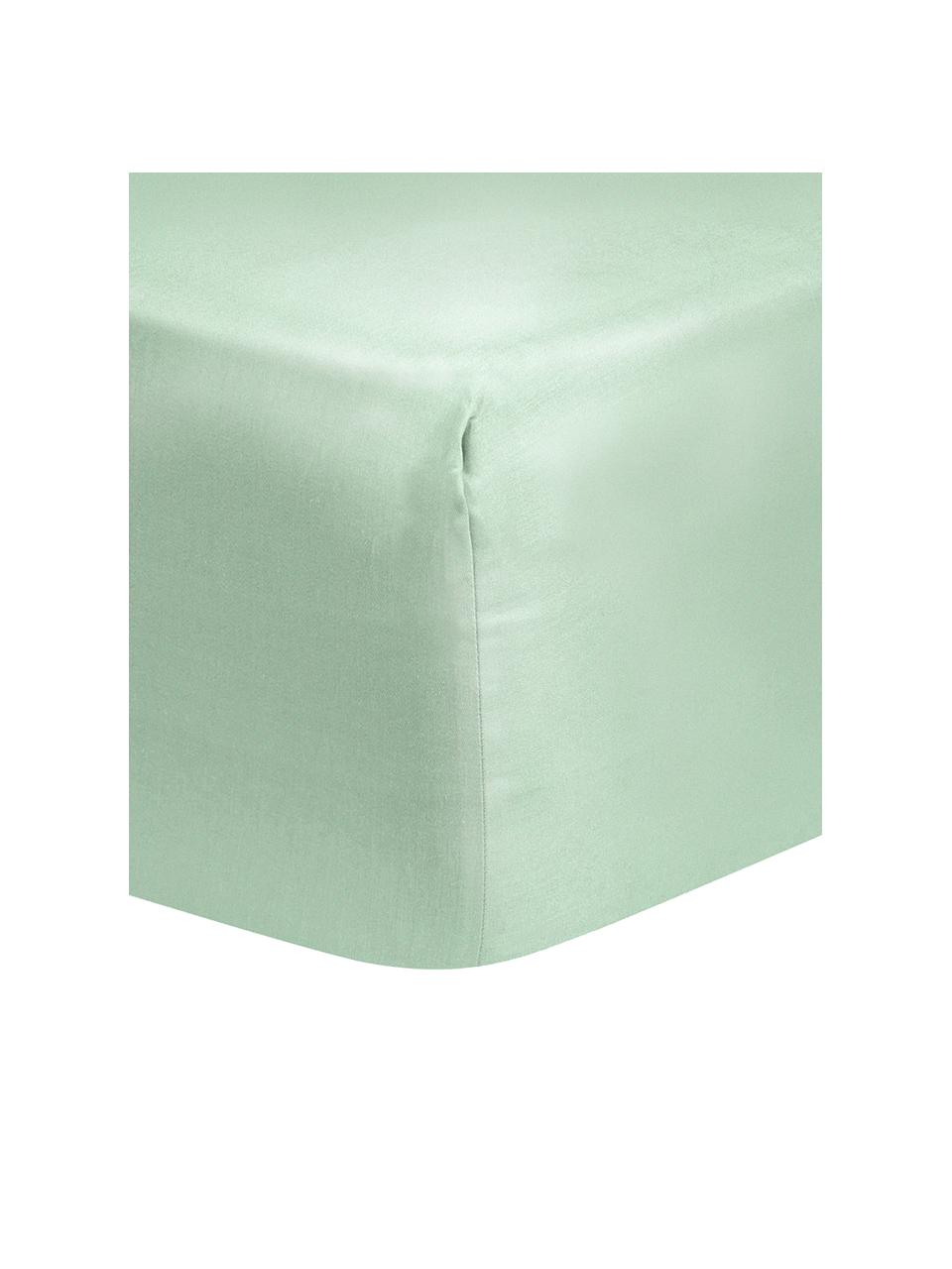 Lenzuolo con angoli in raso di cotone verde salvia Comfort, Verde salvia, Larg. 180 x Lung. 200 cm