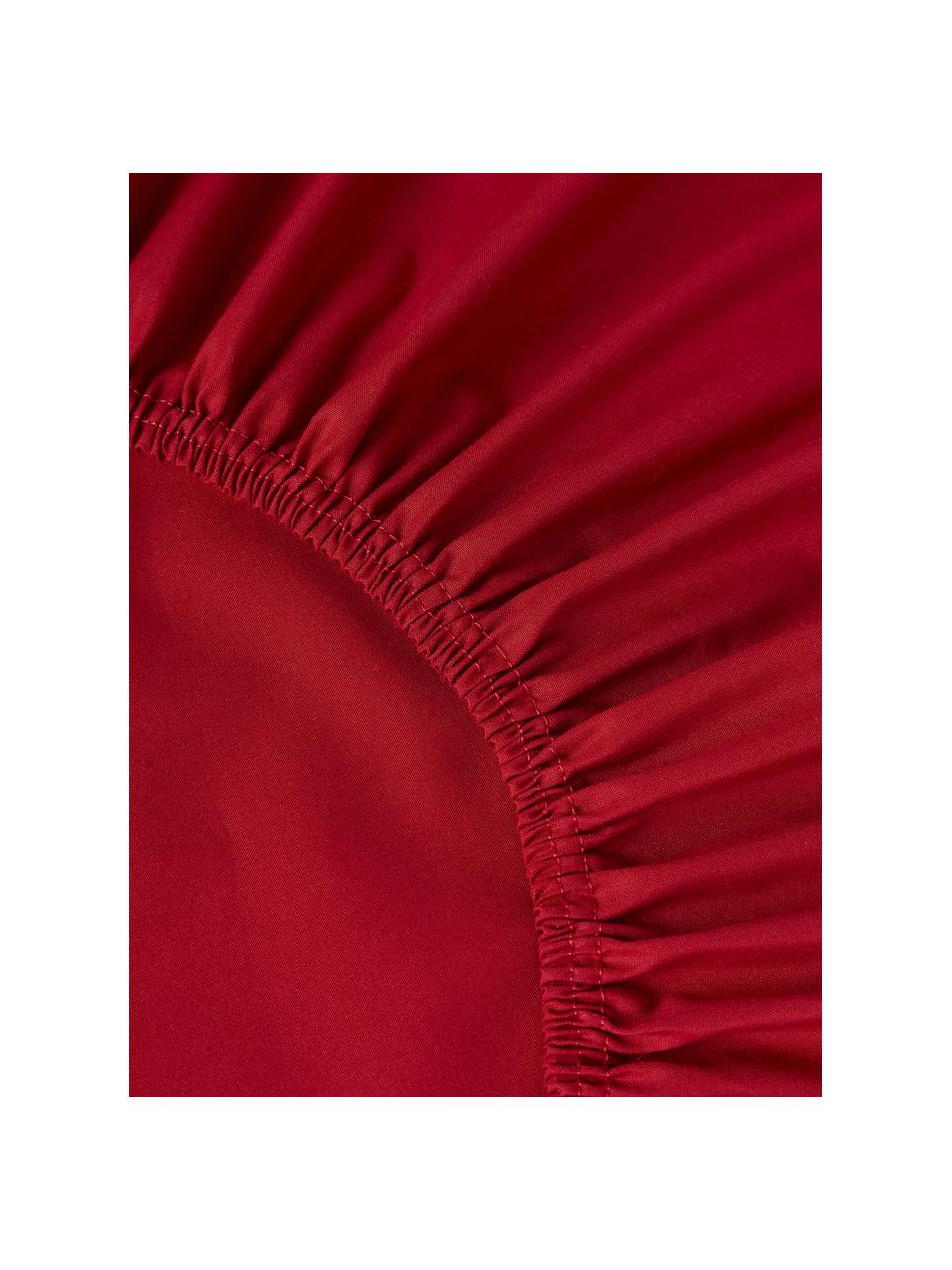 Drap-housse en percale de coton Elsie, Rouge, larg. 90 x long. 200 cm, haut. 25 cm