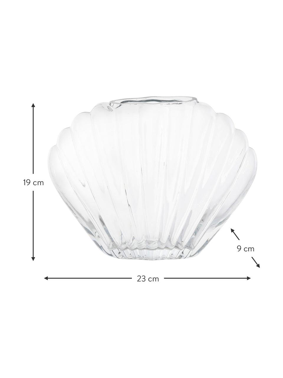 Design-Vase Leucie in Muschel-Form, Glas, Transparent, B 23 x H 19 cm