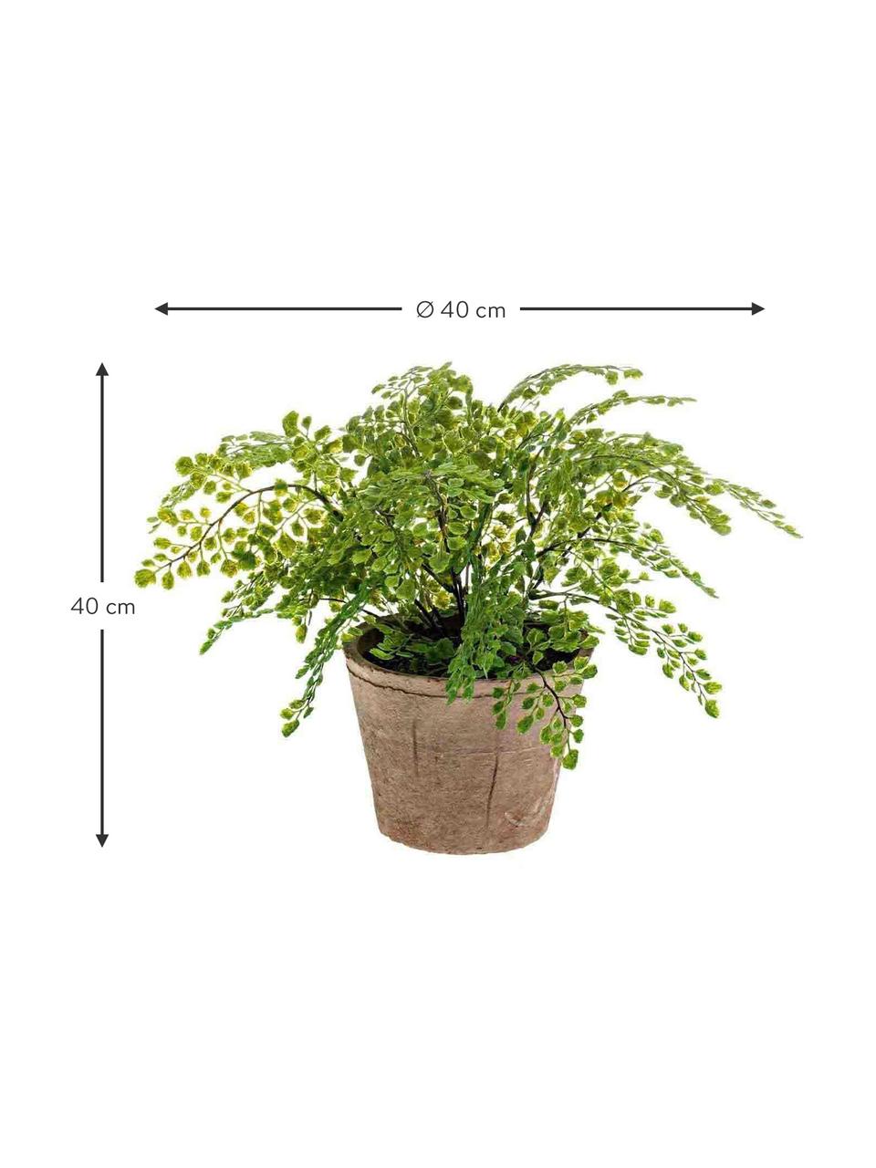 Planta artificial Adiantum, Poliéster, Látex, Polipropileno, Alambre de metal, Verde, Ø 40 x Al 40 cm