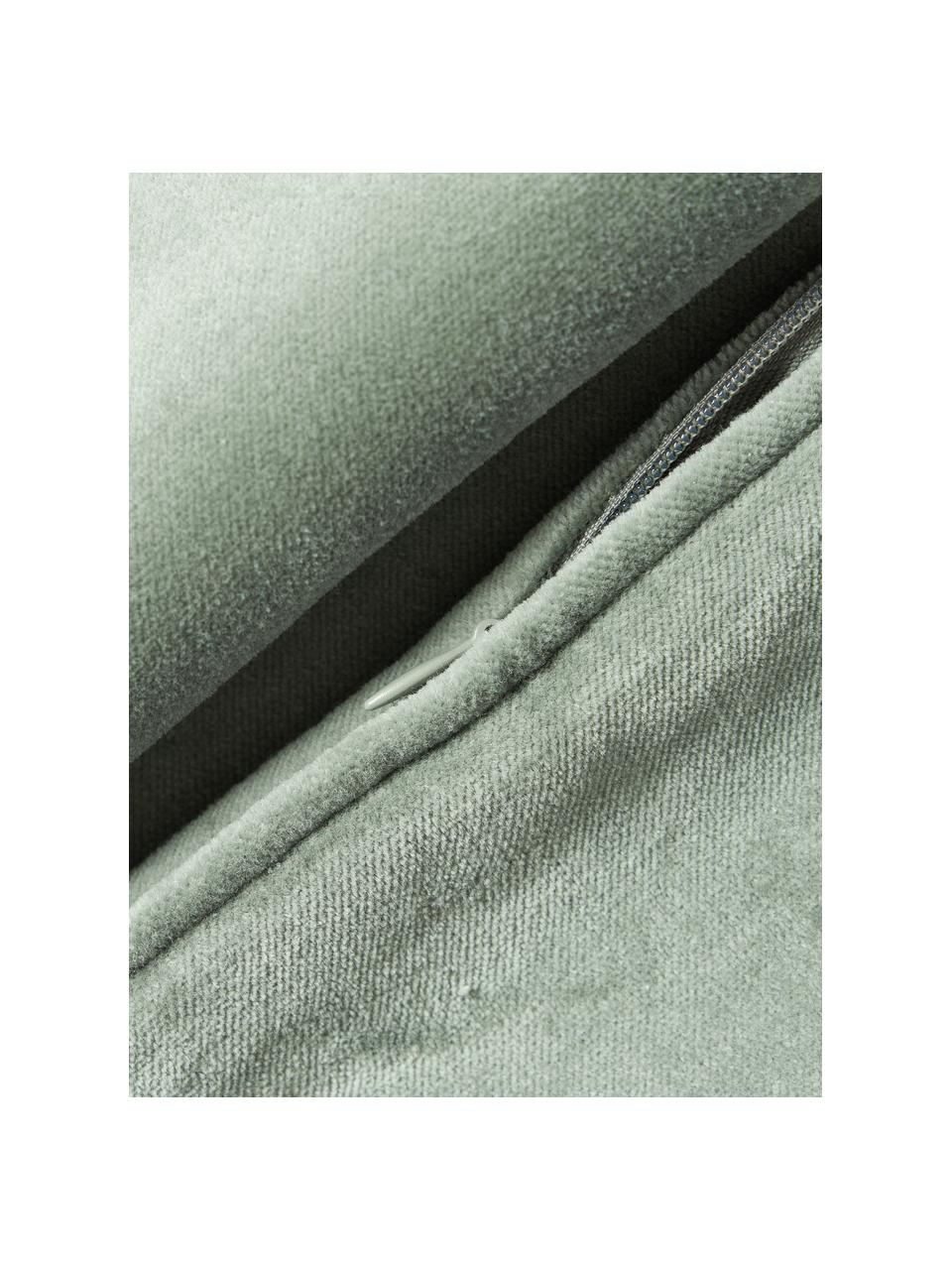 Funda de cojín de terciopelo Dana, 100% terciopelo de algodón, Verde salvia, An 40 x L 40