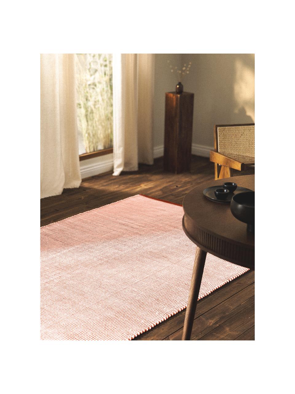 Tapis en laine tissé main Amaro, 67 % laine (certifiée RWS), 33 % coton

Les tapis en laine peuvent perdre des fibres lors des premières semaines et des peluches peuvent se former, ce phénomène est naturel et diminue à mesure de votre usage et du temps, Terracotta, blanc crème, Larg. 80 x long. 150 cm (taille XS)