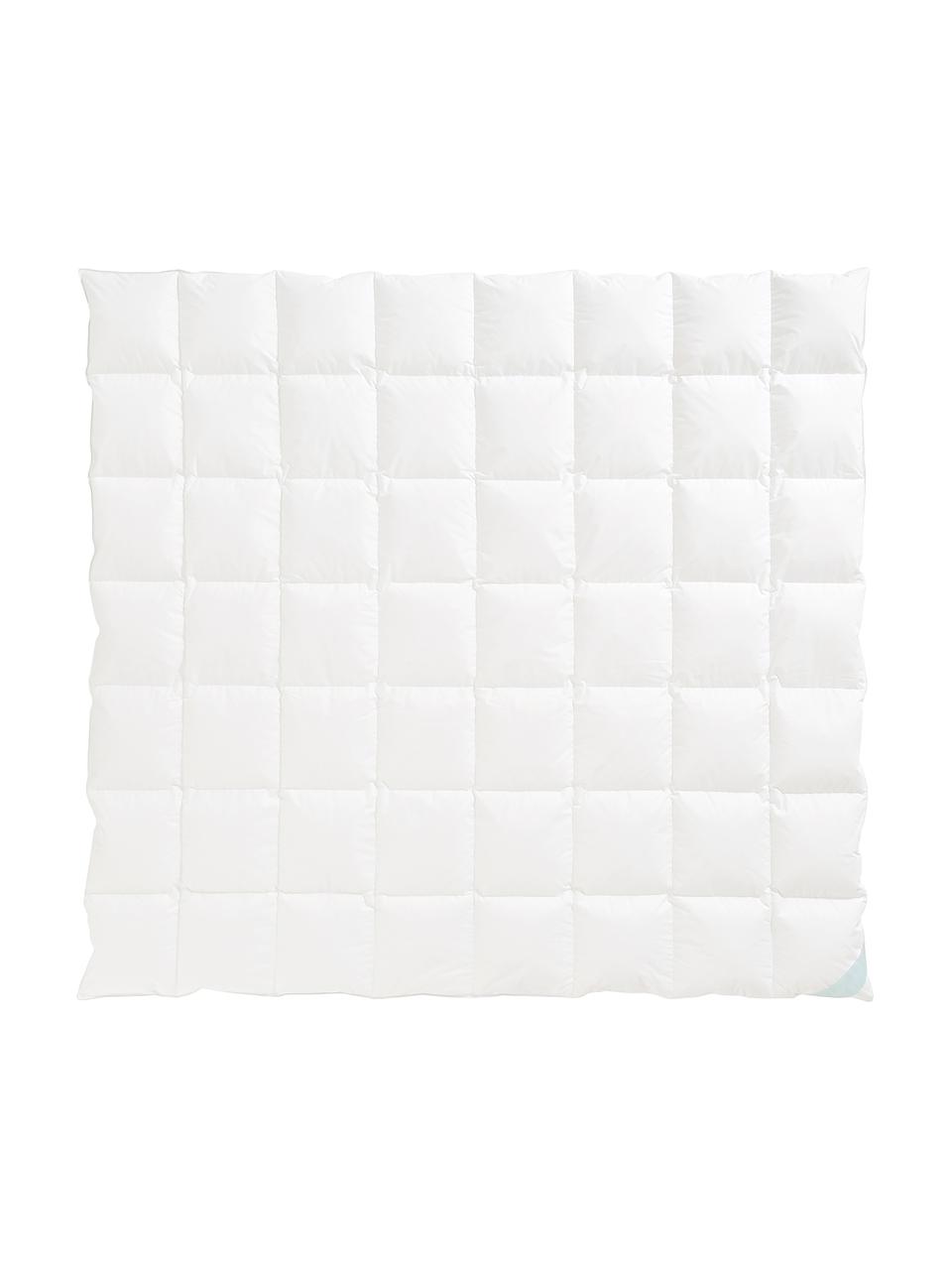 Edredón de plumón Komfort, medio, Funda: 100% algodón, sarga de Ma, Blanco, Cama 150/160 cm (240 x L 220 cm)