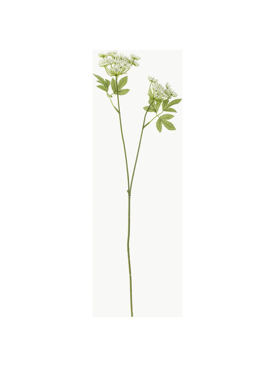 Fleur artificielle fenouil, Plastique, métal, Vert, blanc, long. 66 cm