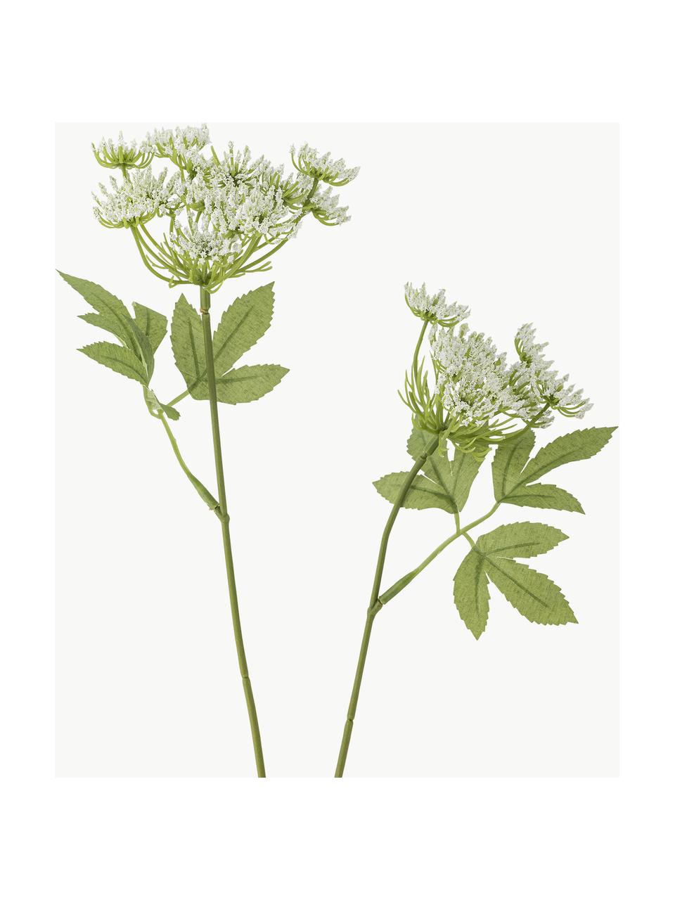 Kunstblume Fenchel, Kunststoff, Metall, Grün, Weiss, L 66 cm