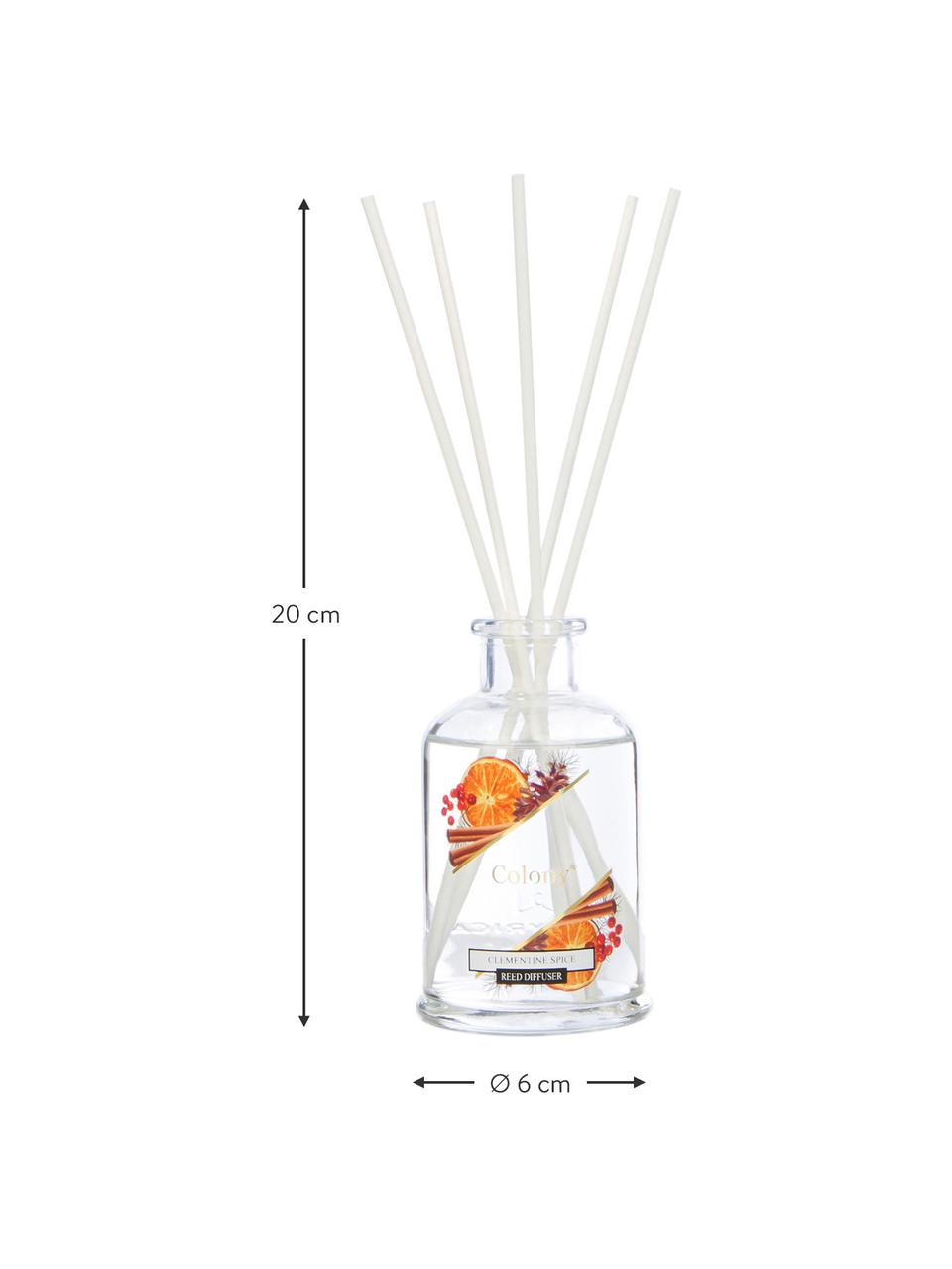Diffuser Colony (Clementine), Behälter: Glas, Clementine, Ø 6 x H 20 cm