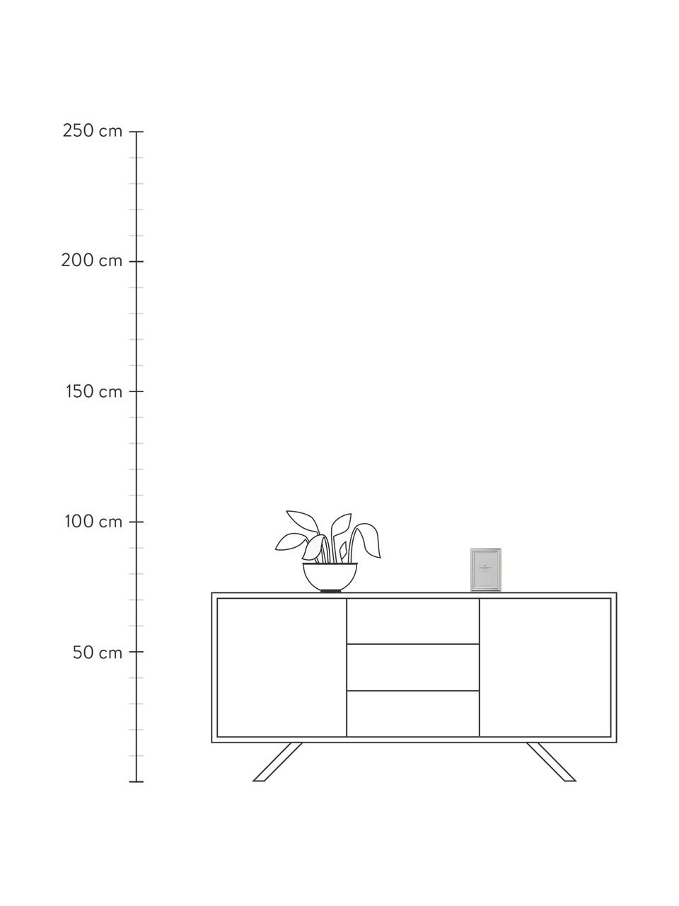 Fotolijstje Austin, Lijst: gecoat staal, Zilverkleurig, 10 x 15 cm