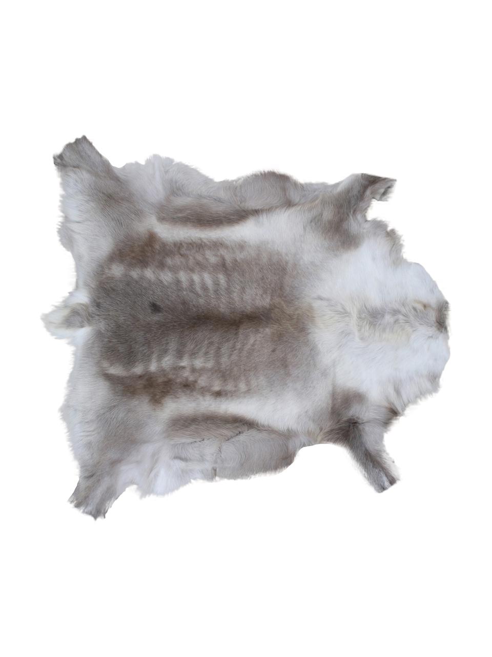Afombra de piel de reno Marlen, Piel de reno, Tonos marrones, blanco, Piel de reno única 141, 75 x 115 cm