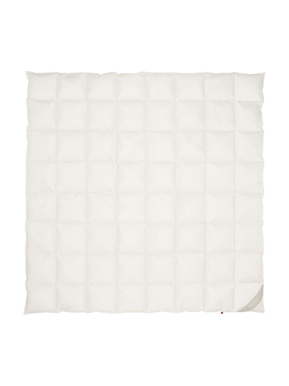 Paplón z organického páperia a bavlny Premium, stredný, Stredný, Š 200 x D 200 cm
