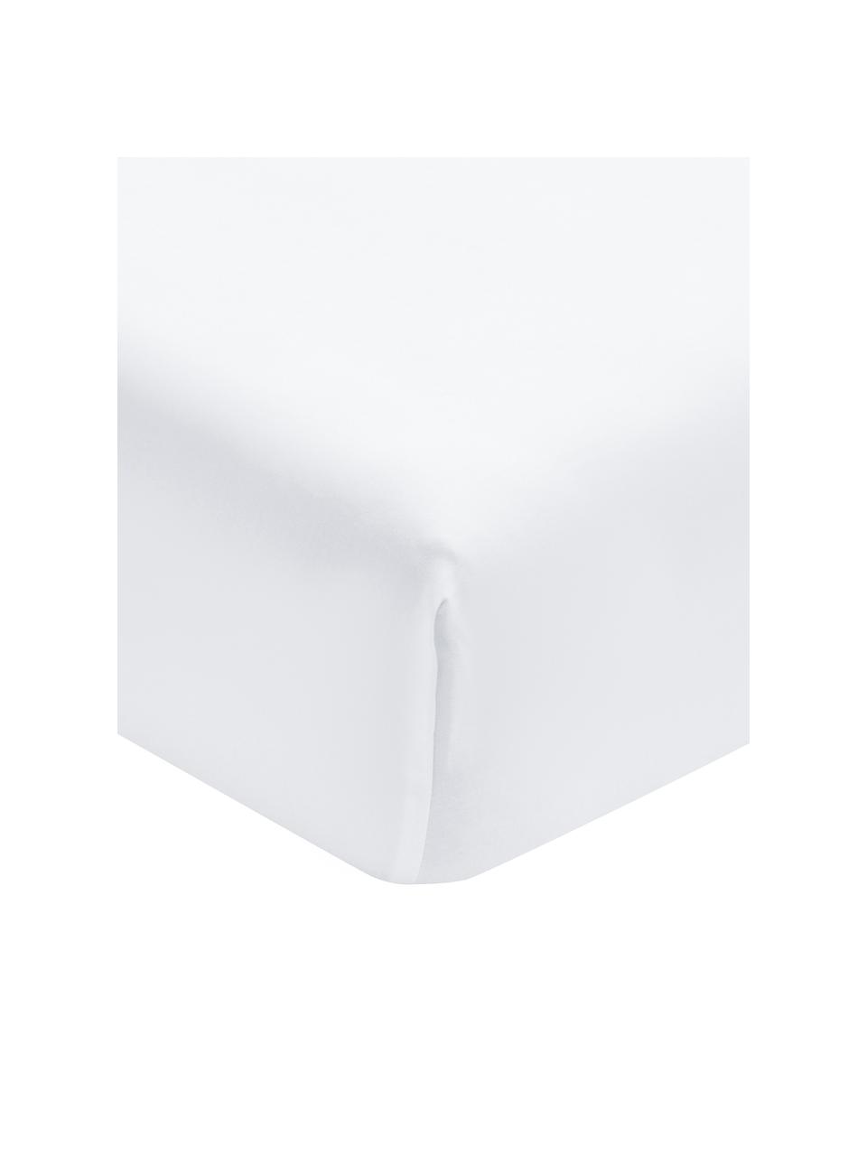 Lenzuolo con angoli in cotone organico bianco Premium, Bianco, Larg. 160 x Lung. 200 cm