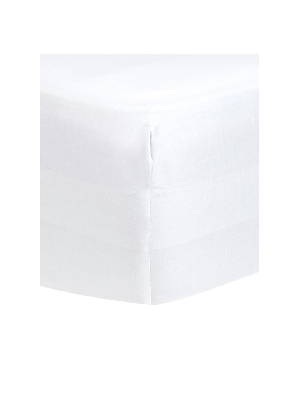 Drap-housse en satin de coton blanc pour sommier tapissier Comfort, Blanc, larg. 160 x long. 200 cm