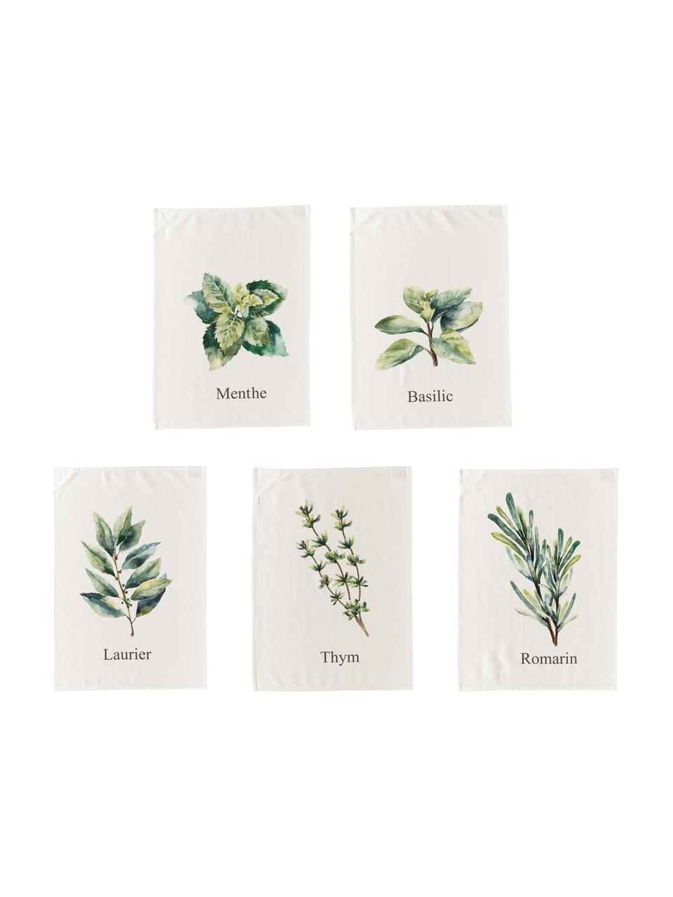 Set 5 stofinacci con motivo erbe Aroma, Cotone, Bianco latteo, tonalità verdi, Lung. 70 x Larg. 50 cm