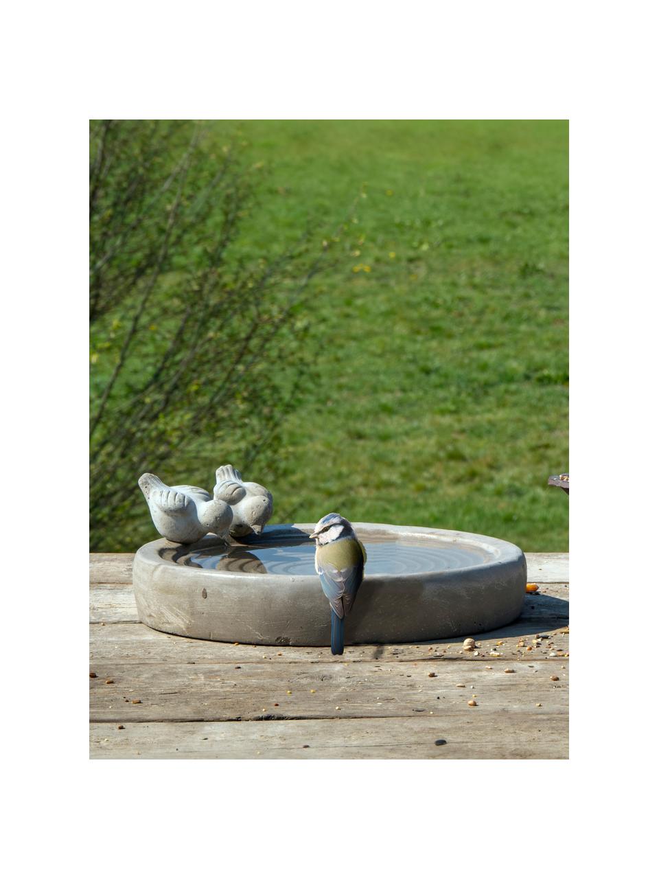 Baño para pájaros Bettany, Gris cemento, Gris, Ø 29 x Al 11 cm