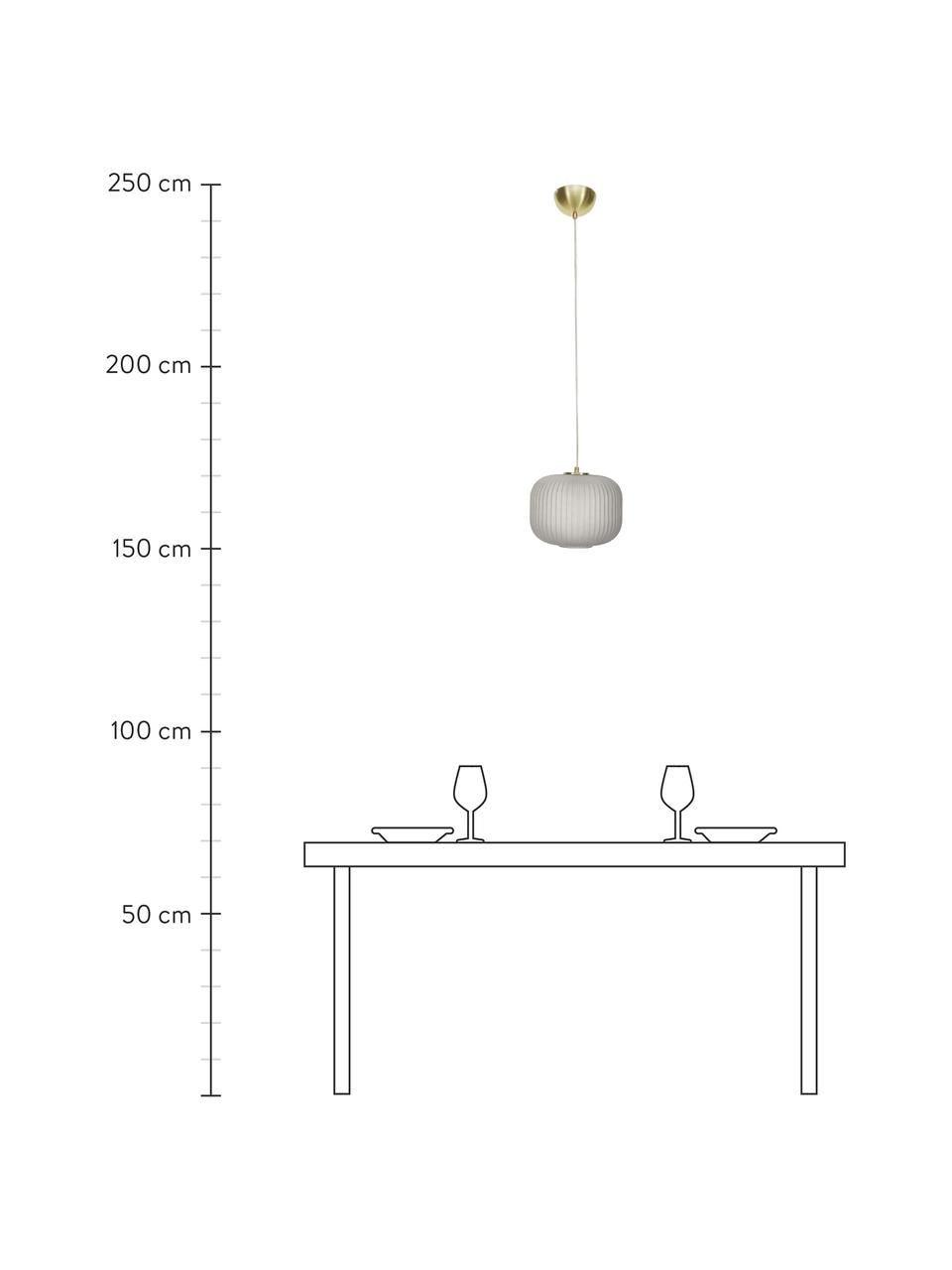 Kleine hanglamp Sober met glazen lampenkap, Lampenkap: glas, Baldakijn: geborsteld metaal, Decoratie: geborsteld metaal, Grijs, Ø 25 x H 22 cm