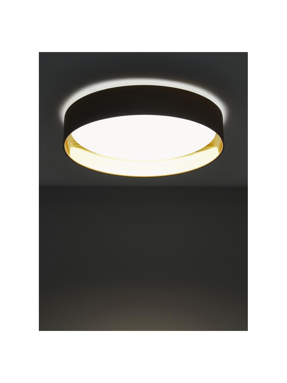 Plafoniera a LED Mallory, Disco diffusore: plastica, Color torrone, Ø 41 x Alt. 10 cm