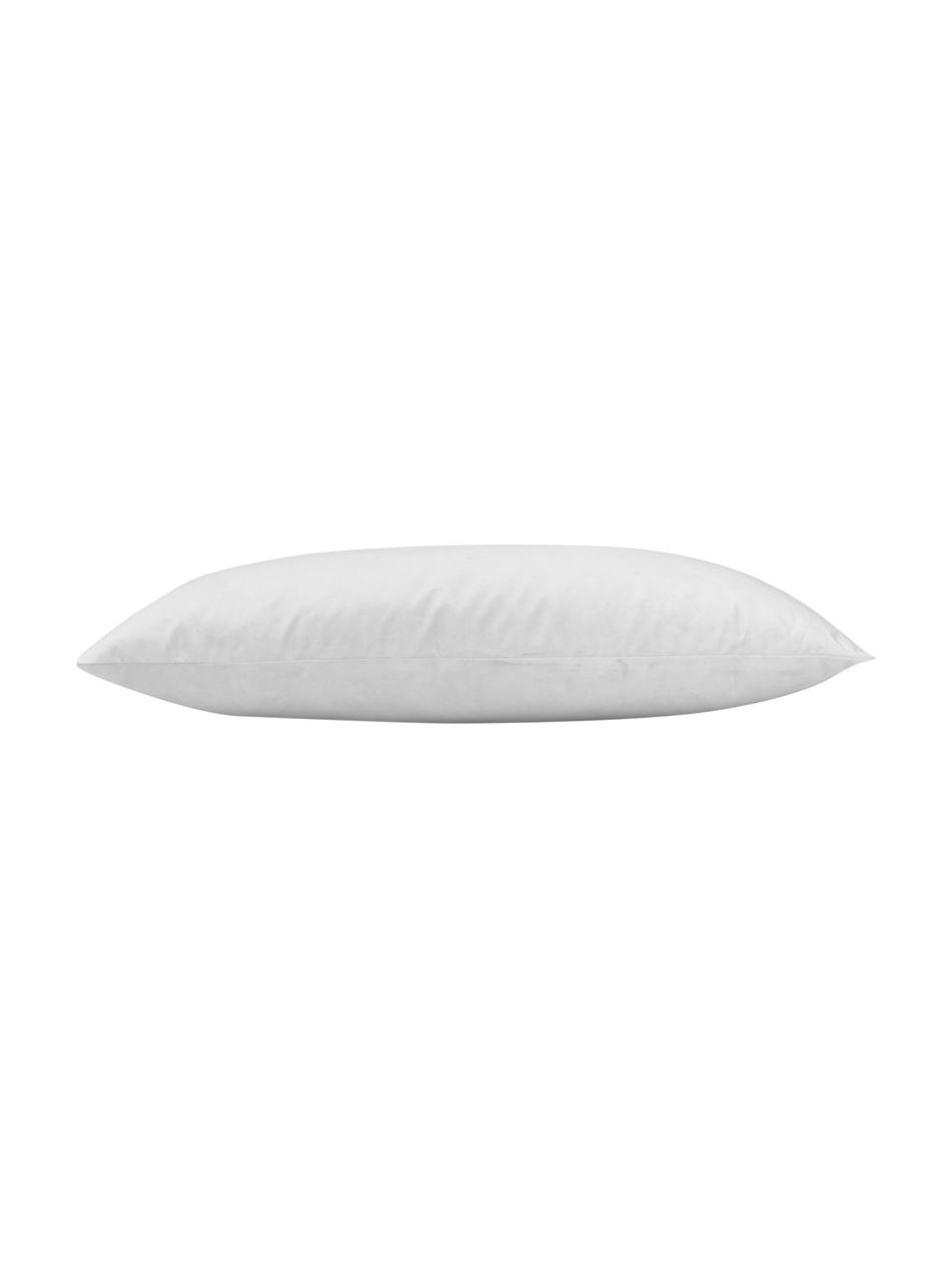 Imbottitura cuscino Comfort, Bianco, Larg. 30 x Lung. 50 cm