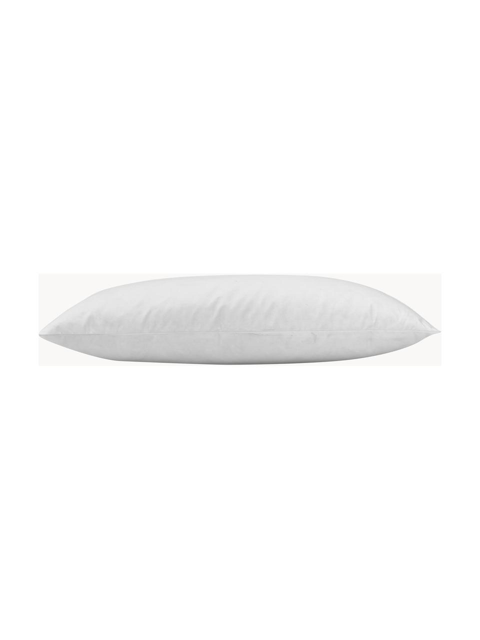 Garnissage de coussin avec remplissage de plumes Comfort, tailles variées, Blanc, larg. 30 x long. 50 cm