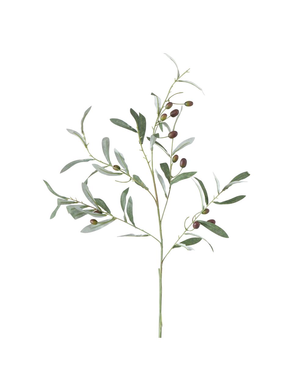Handgefertigter Oliven-Kunstbaum Olives Garden, Kunststoff, Grün, B 17 x H 77 cm