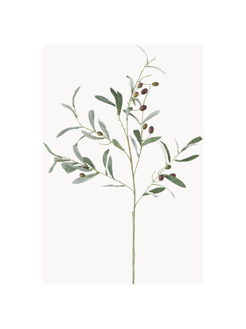 Dekorativní větvička Olive Garden, Umělá hmota, Odstíny zelené, D 17 cm