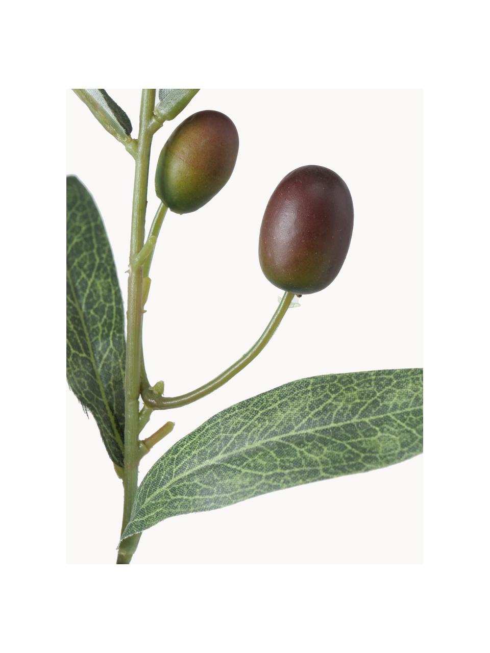 Ramo decorativo Olives Garden, Plastica, Tonalità verdi, Lunghezza 77 cm