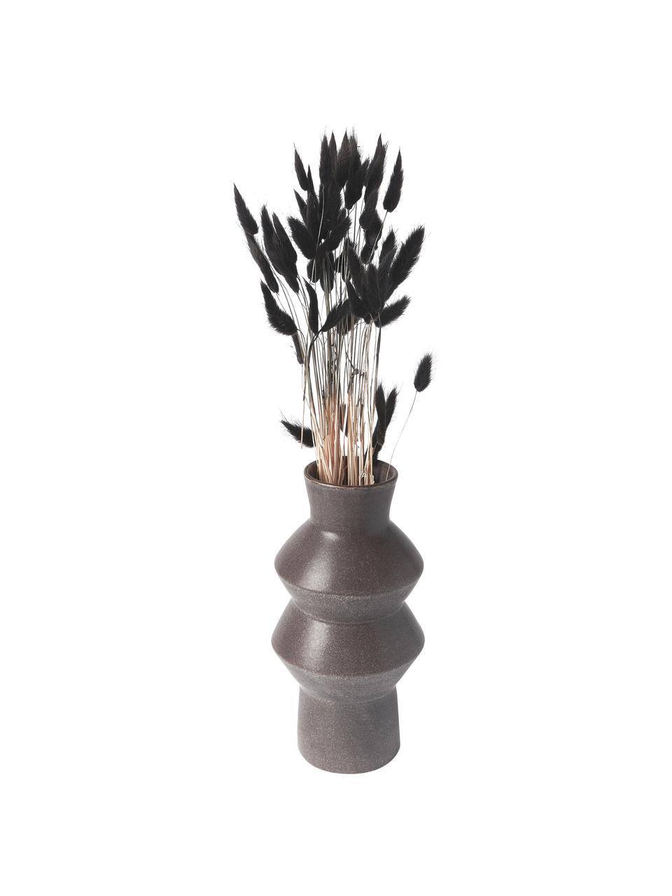 Droogbloemen Lagurus, Gedroogde bloemen, Antraciet, olijfgroen, B 11 x H 64 cm