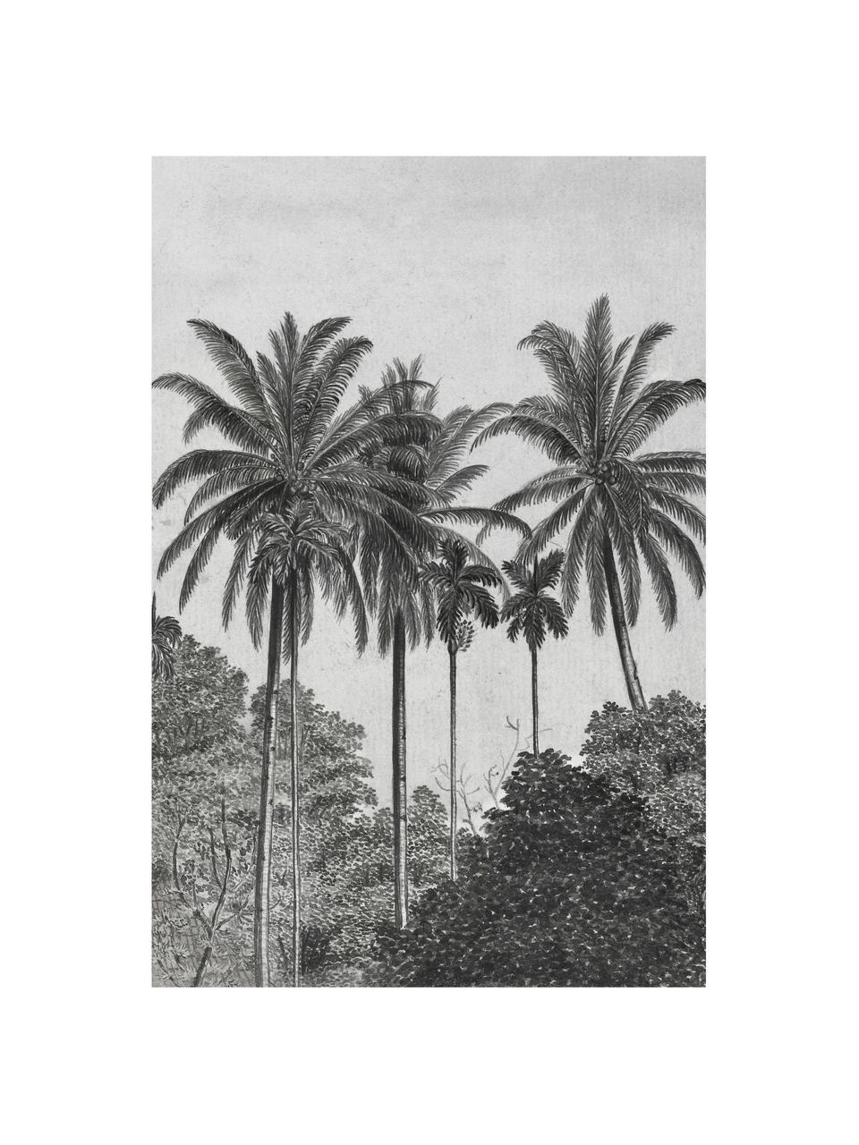 Fototapete Palms, Vlies, Grau, Schwarz, Weiß, B 200 x H 300 cm