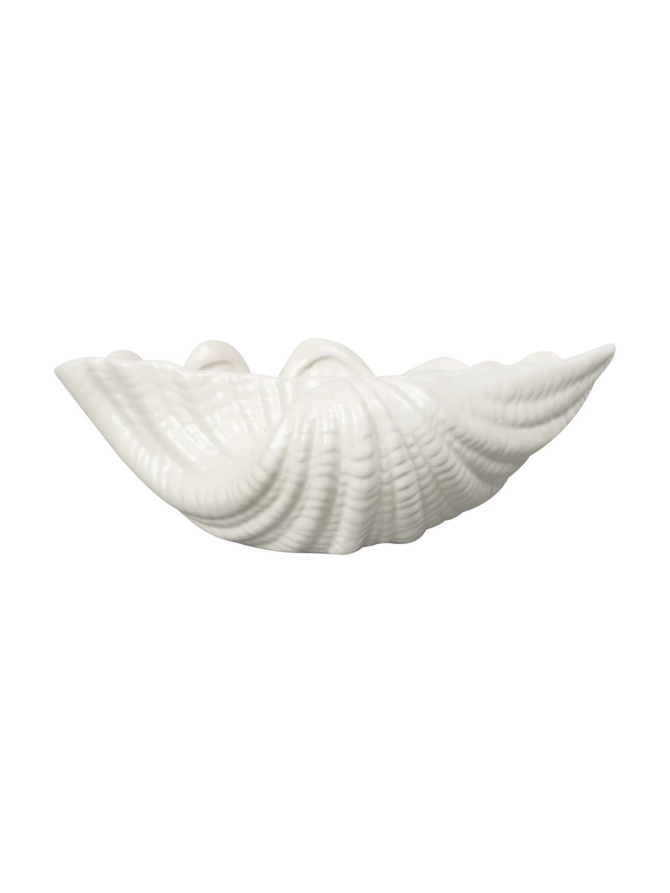 Schale Shell aus Dolomit in Weiss, B 24 cm, Dolomit, Weiss, B 23 x H 8 cm