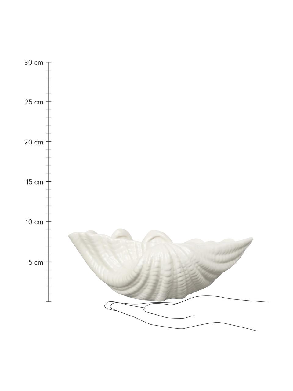 Schale Shell aus Dolomit in Weiss, B 24 cm, Dolomit, Weiss, B 23 x H 8 cm