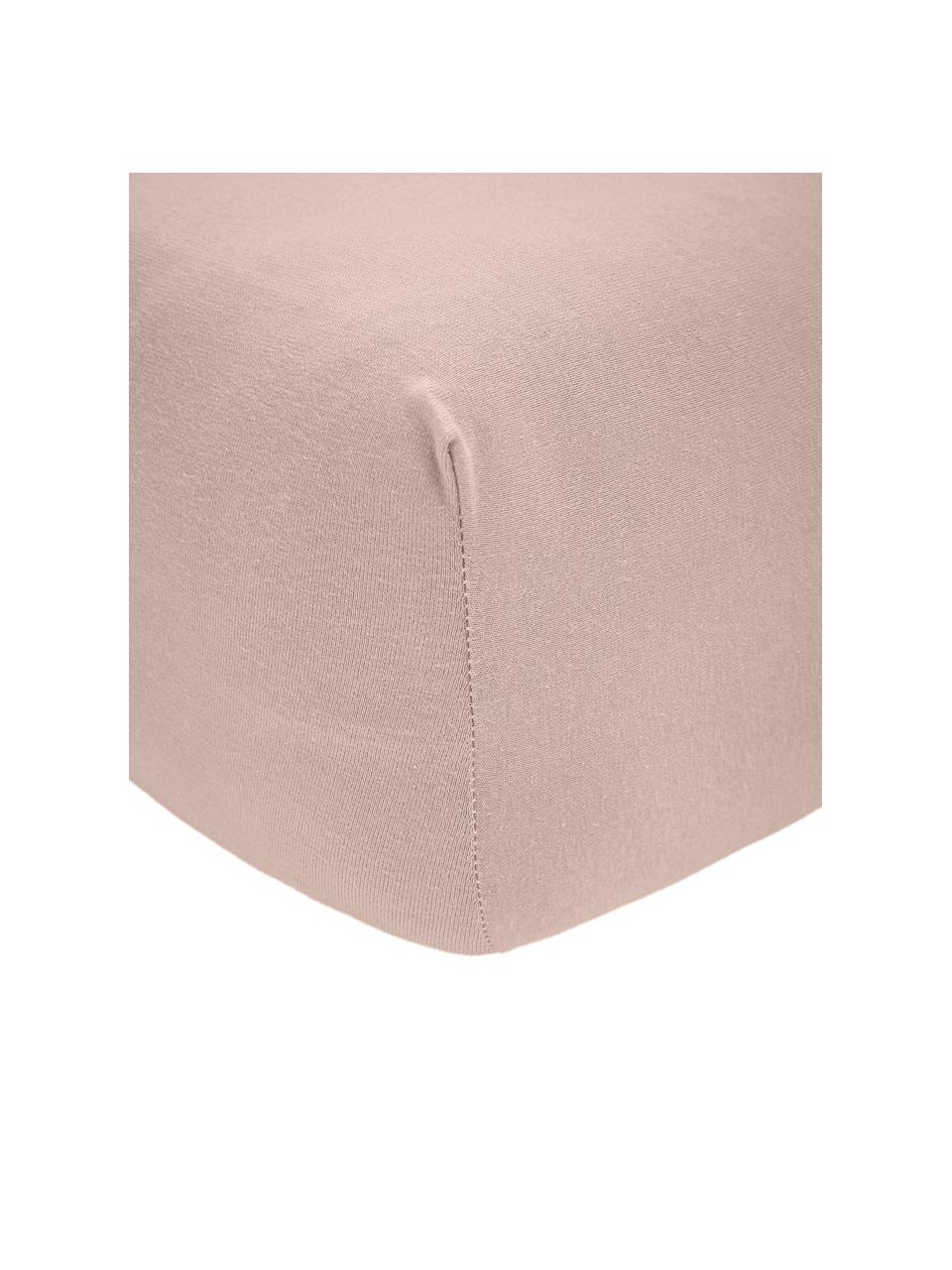 Napínací prostěradlo z žerzeje a elastanu Lorraine, 95% bavlna, 5% elastan, Taupe, Š 90-100 cm, D 200 cm
