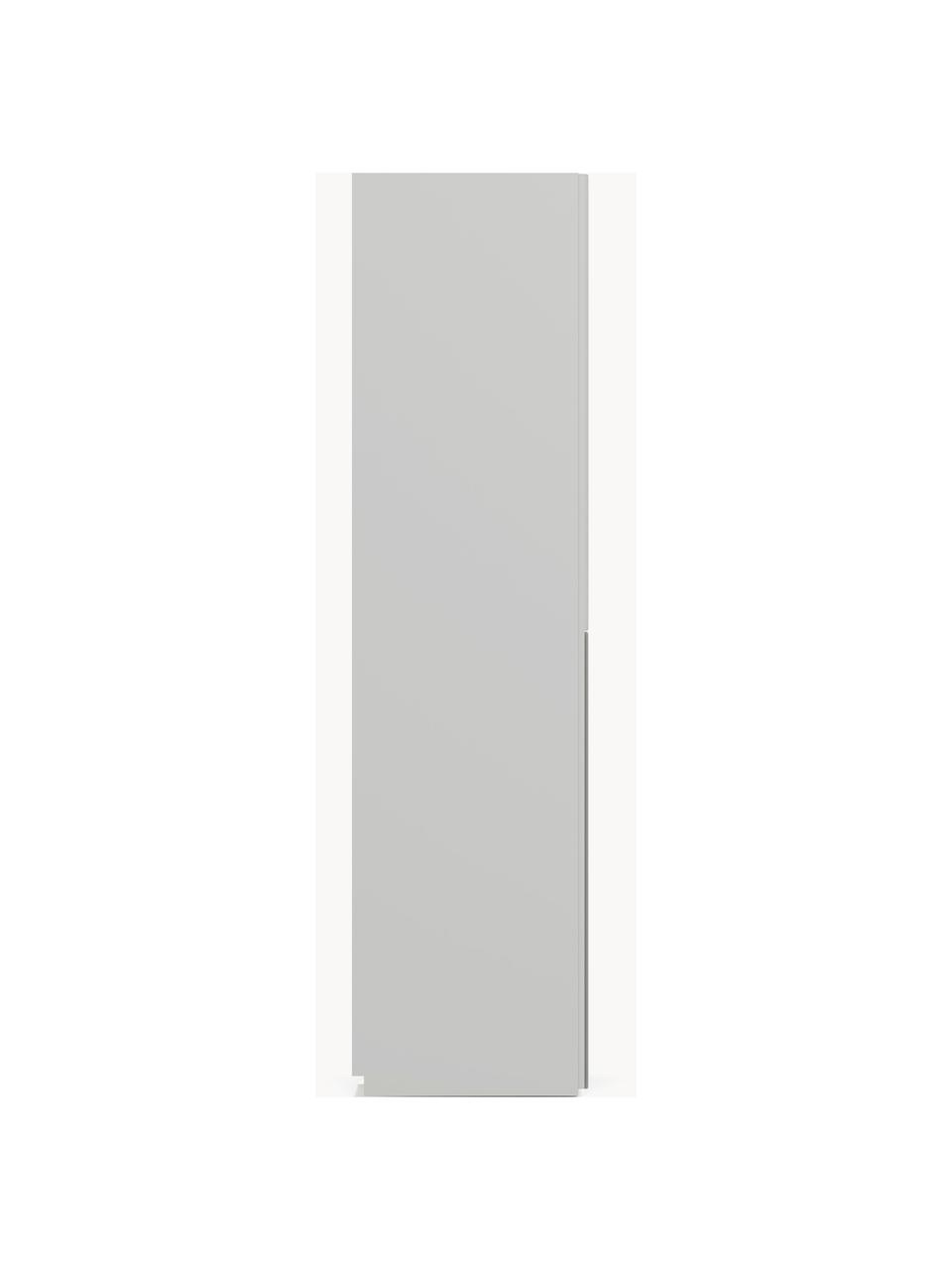 Armario modular Leon, 2 puertas (100 cm), diferentes variantes, Estructura: tablero aglomerado revest, Gris claro, Interior Basic (An 100 x Al 200 cm)