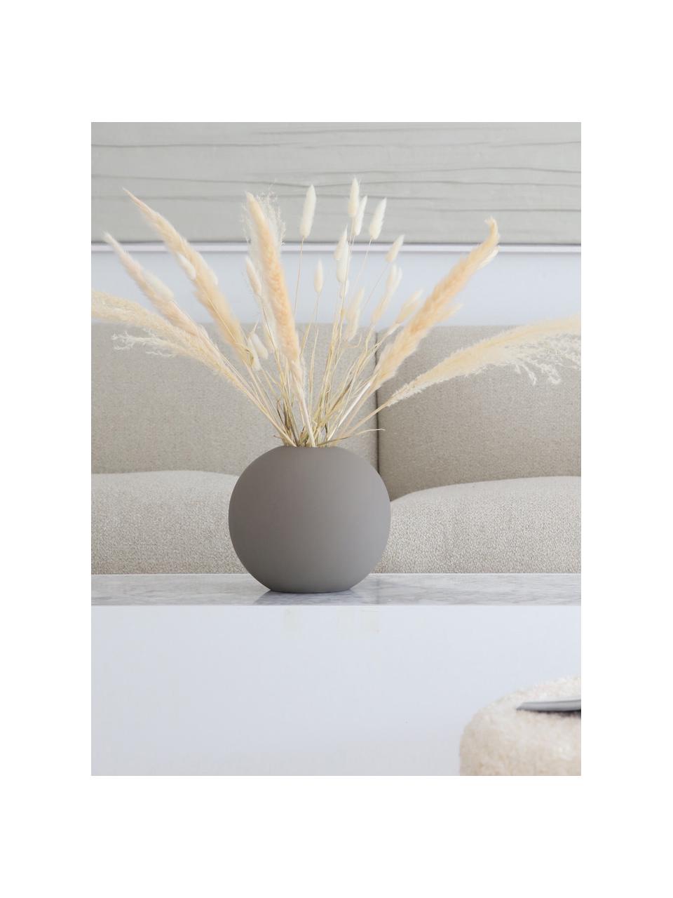 Flores secas Pampas, Flores secas, Blanco crema, An 11 x Al 70 cm