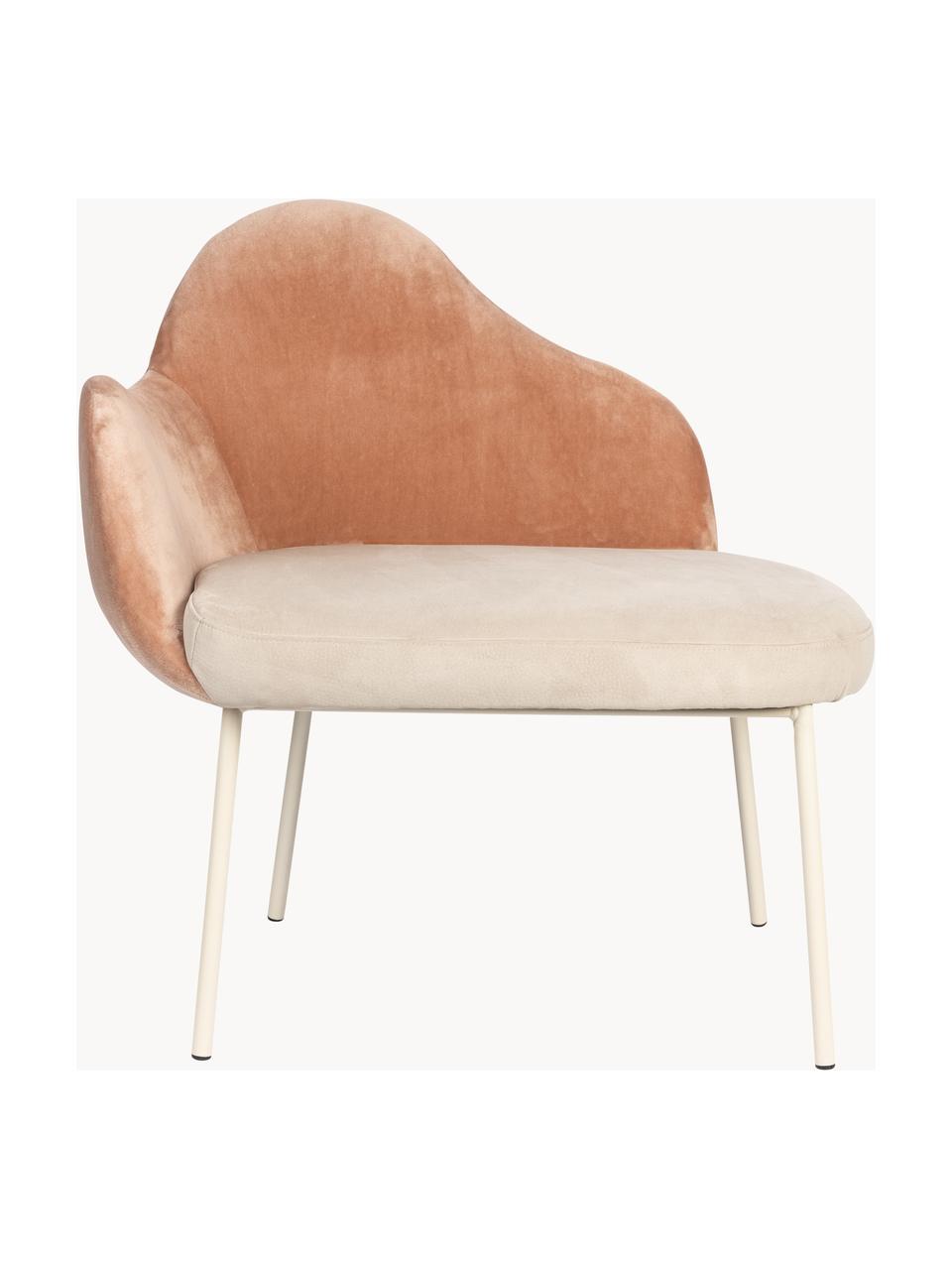 Sametová čalouněná židle Friuli, Odstíny růžové, krémově bílá, Š 83 cm, H 73 cm