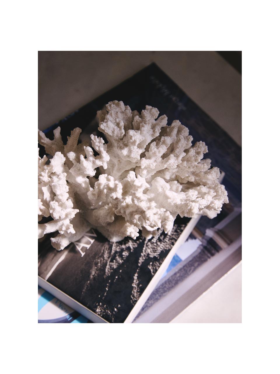 Oggetto decorativo di design Coral, Bianco, Larg. 18 x Alt. 13 cm