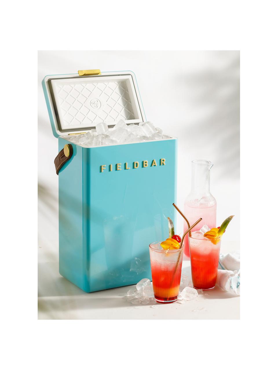 Handgefertigte Kühlbox Bazaruto, Box: Kunststoff, Griff: Leder, Türkis, B 28 x H 38 cm