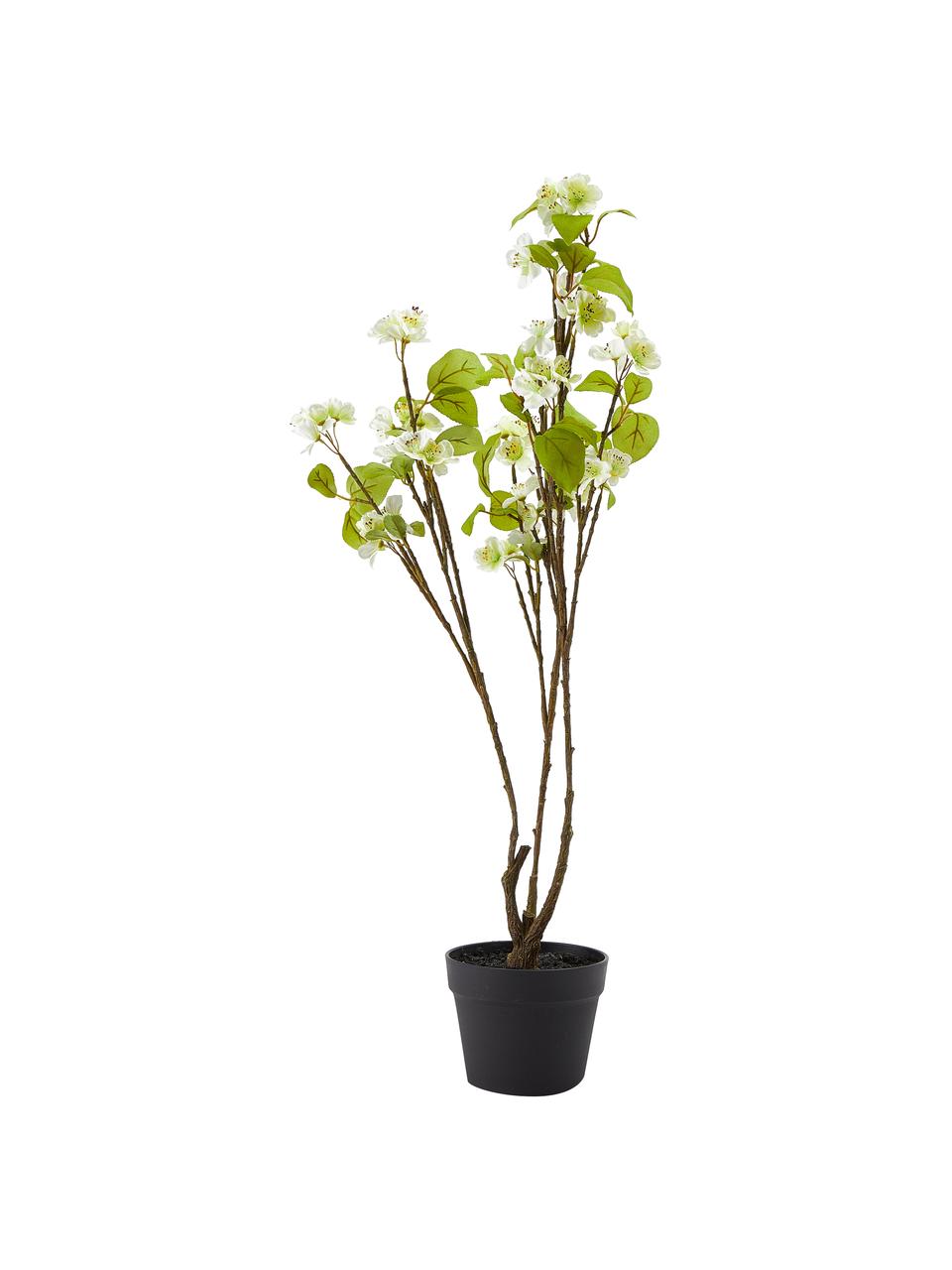 Planta artificial cerezo con macetero Kirschblüte, Plástico, Verde, blanco, marrón, Al 89 cm
