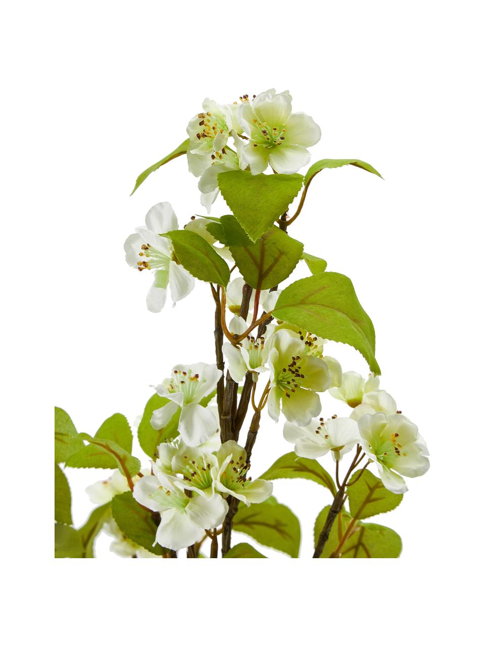 Plante artificielle en pot Fleur de cerisier, Plastique, Vert, blanc, brun, haut. 89 cm