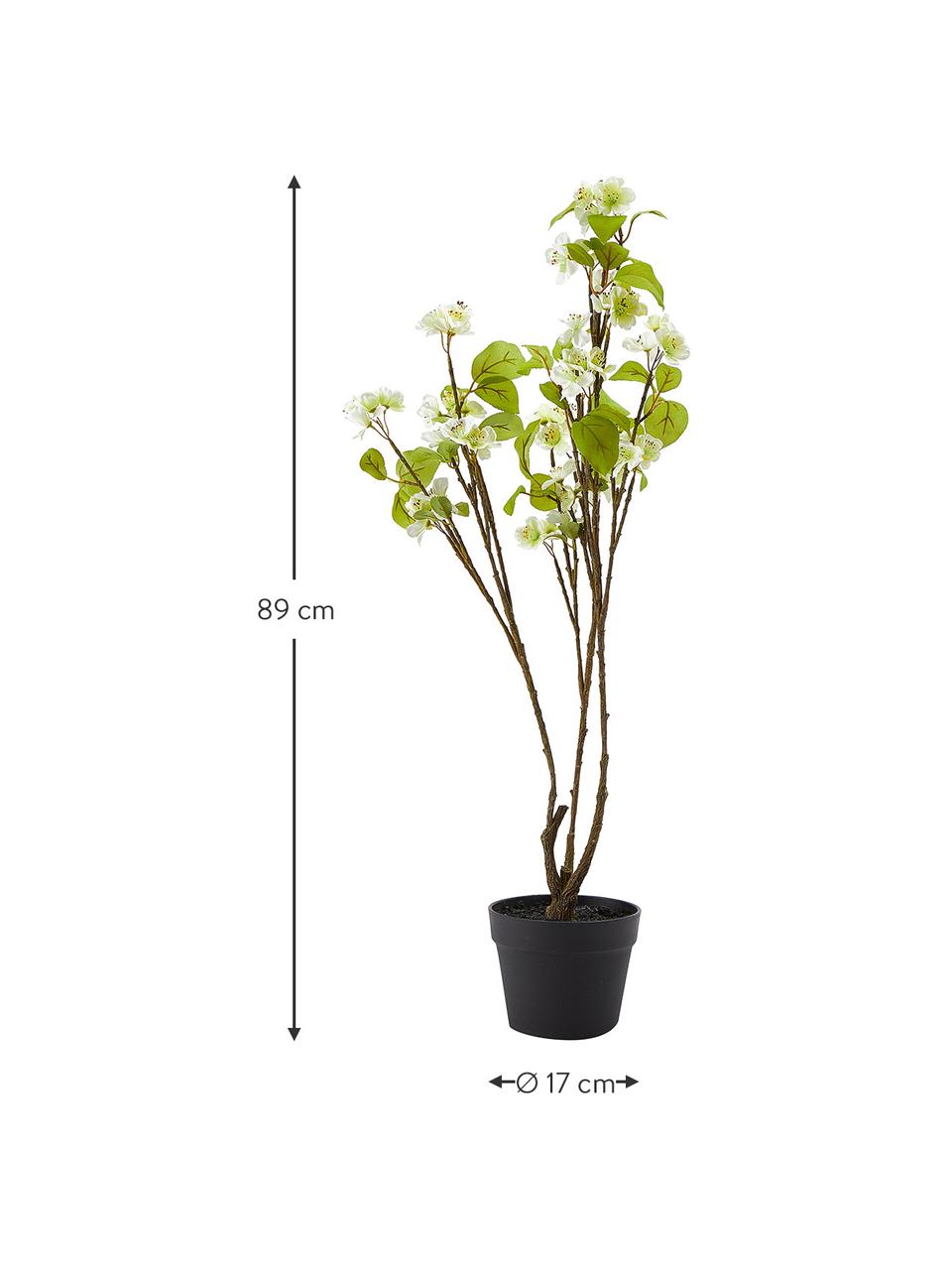 Plante artificielle en pot Fleur de cerisier, Plastique, Vert, blanc, brun, haut. 89 cm