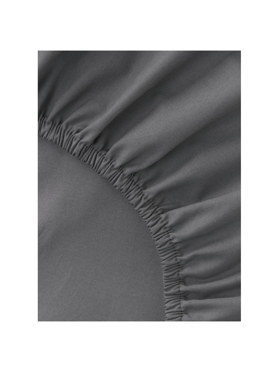 Drap-housse en percale de coton pour sommier tapissier Elsie, Anthracite, larg. 90 x long. 200 cm, haut. 35 cm