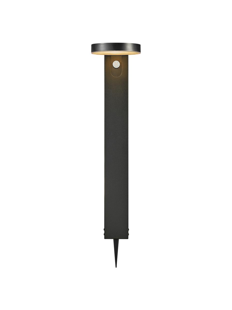 Solar padverlichting Rica met bewegingssensor, Lampenkap: kunststof, Lampvoet: gecoat staal, Zwart, B 15 cm x H 60 cm