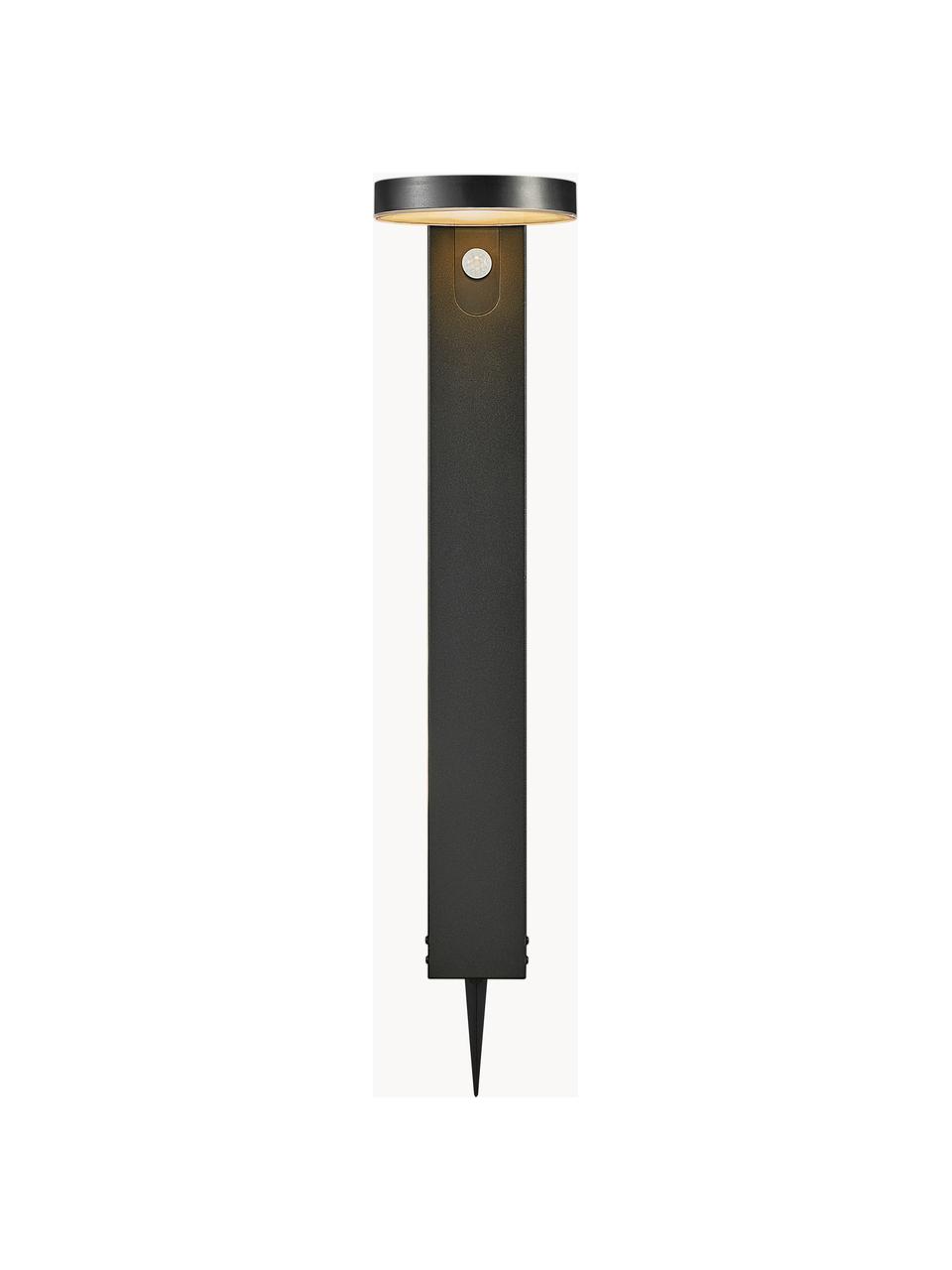 Solar padverlichting Rica met bewegingssensor, Lampenkap: kunststof, Lampvoet: gecoat staal, Zwart, B 15 x H 60 cm