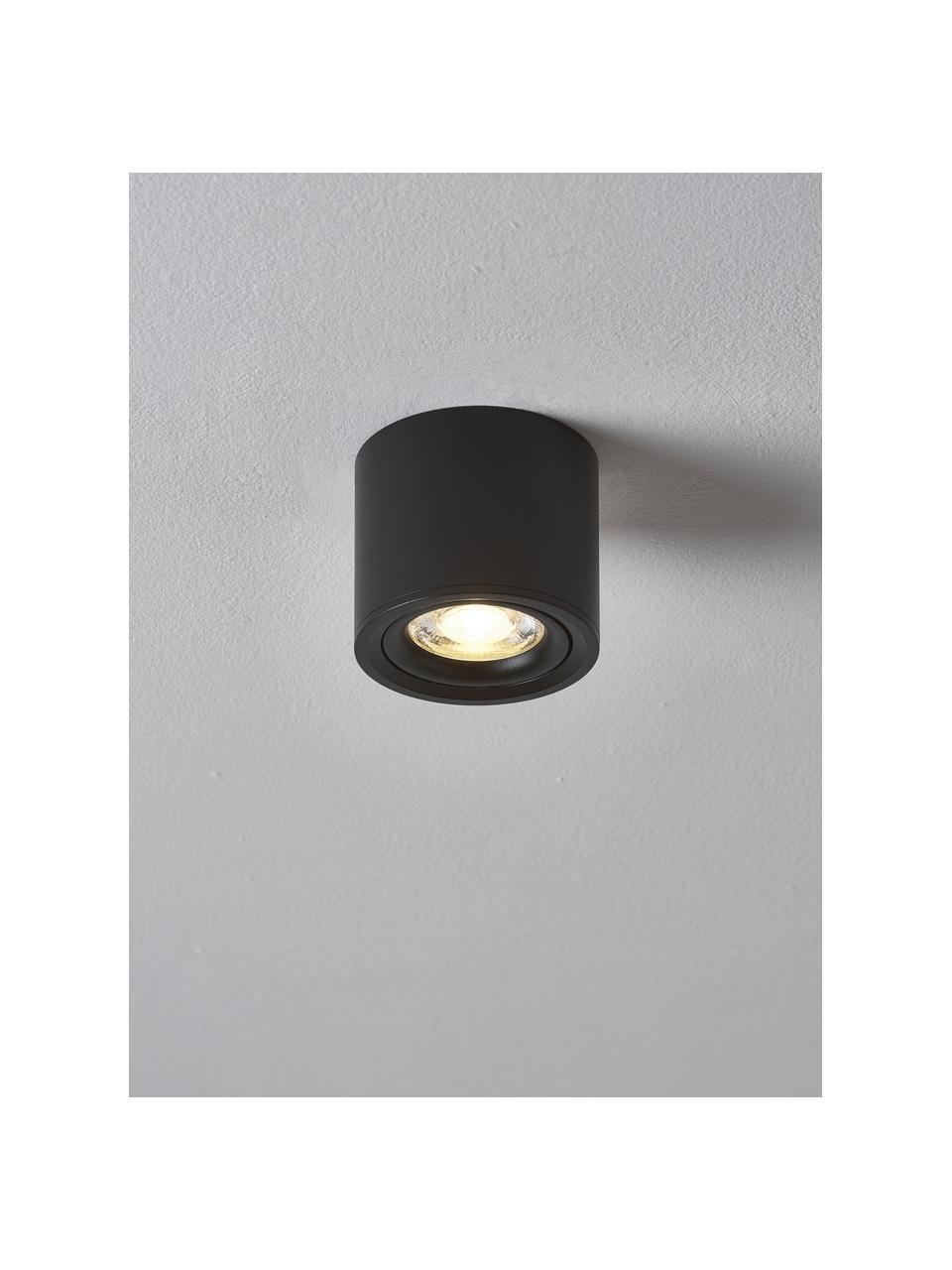 Stropná bodová LED lampa Alivia, Kov s práškovým náterom, Čierna, Ø 9 x V 7 cm