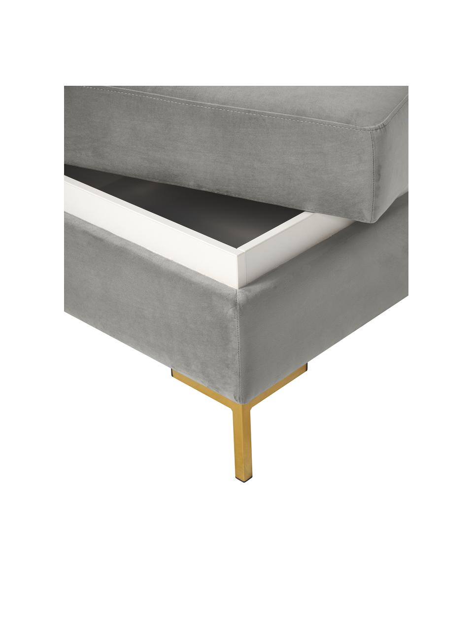Fluwelen voetenbank Luna met opbergruimte met metalen poten, Bekleding: fluweel (100% polyester),, Frame: massief beukenhout, multi, Poten: gegalvaniseerd metaal, Fluweel lichtgrijs, B 77 x H 49 cm