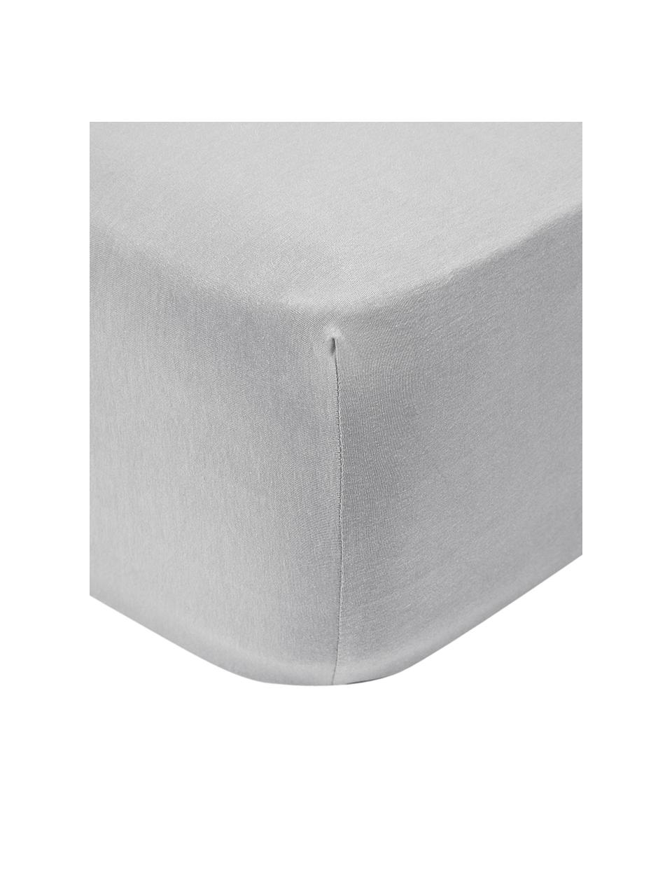 Lenzuolo con angoli boxspring in jersey-elastan Lara, 95% cotone, 5% elastan
Densità dei fili 160 TC, qualità Standard

La biancheria da letto in cotone è piacevolmente morbida sulla pelle, assorbe bene l'umidità ed è adatta per chi soffre di allergie., Grigio chiaro, Larg. 140 x Lung. 200 cm