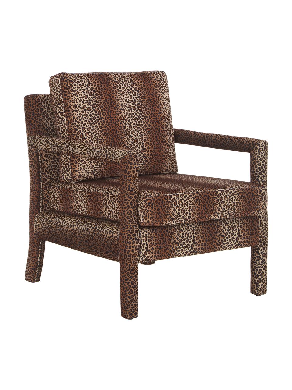 Poltrona in velluto con motivo leopardato Claudette, Rivestimento: velluto (100% poliestere), Struttura: legno di pino massello, c, Marrone, nero, Larg. 65 x Prof. 75 cm