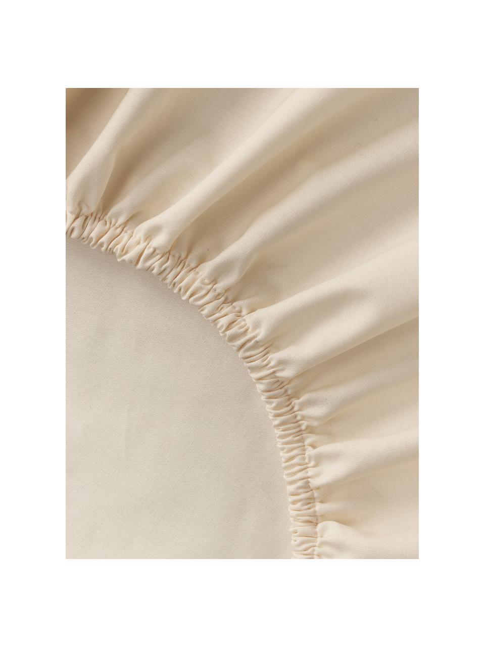 Drap-housse en percale de coton pour sommier tapissier Elsie, Beige, larg. 90 x long. 200 cm, haut. 35 cm