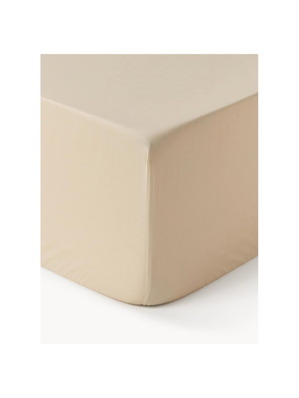 Boxspring hoeslaken Elsie, katoen perkal, Weeftechniek: perkal, Beige, B 90 x L 200 cm, H 35 cm