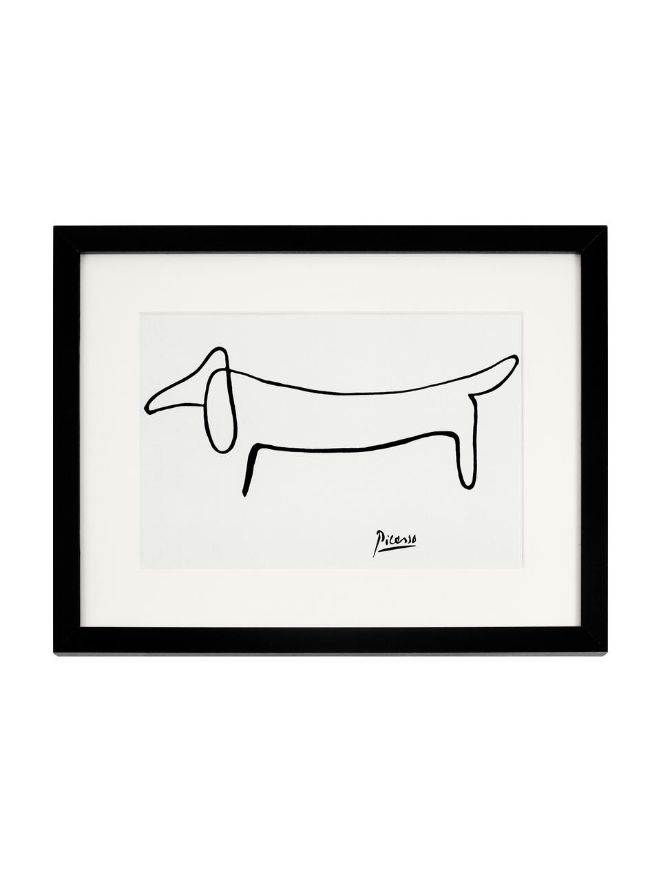 Stampa digitale incorniciata Picasso's Dackel, Immagine: stampa digitale su carta,, Cornice: legno, verniciato, Bianco, nero, Larg. 43 x Alt. 33 cm